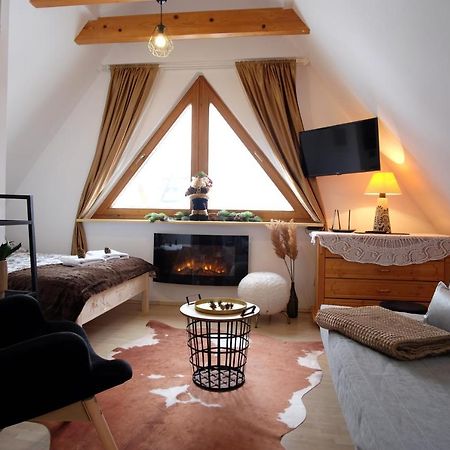 Apartament Ryllowka Z Widokiem Na Gory ซาโกปาเน ภายนอก รูปภาพ