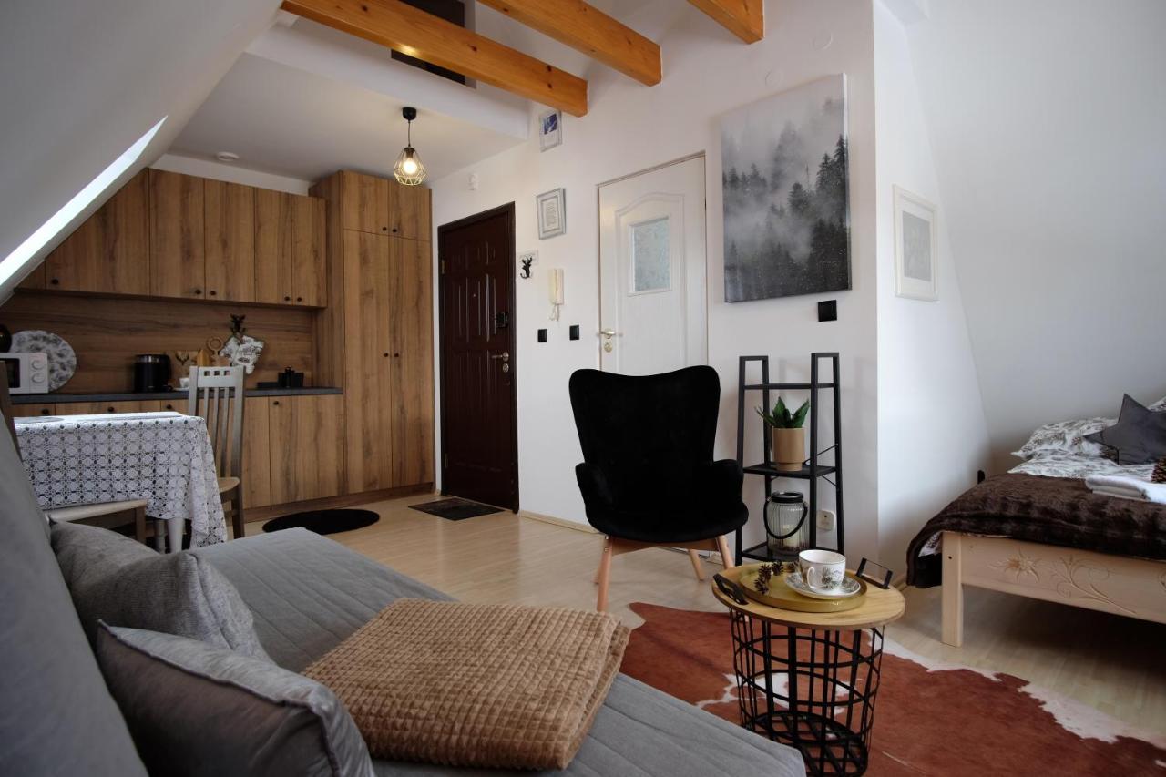 Apartament Ryllowka Z Widokiem Na Gory ซาโกปาเน ภายนอก รูปภาพ