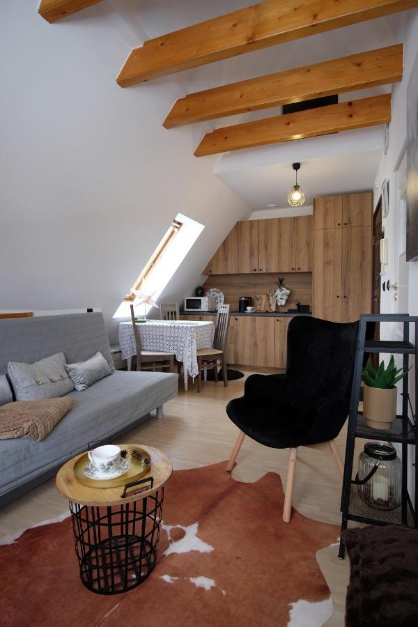 Apartament Ryllowka Z Widokiem Na Gory ซาโกปาเน ภายนอก รูปภาพ