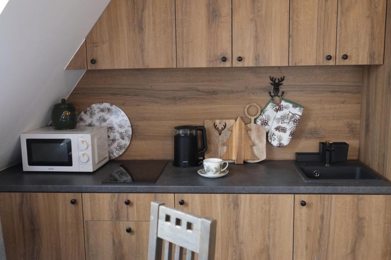 Apartament Ryllowka Z Widokiem Na Gory ซาโกปาเน ภายนอก รูปภาพ