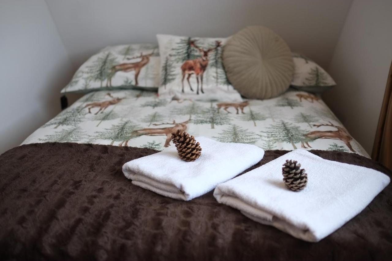 Apartament Ryllowka Z Widokiem Na Gory ซาโกปาเน ภายนอก รูปภาพ